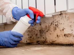 Professional Mold Prevention & Removal  in Addison, IL